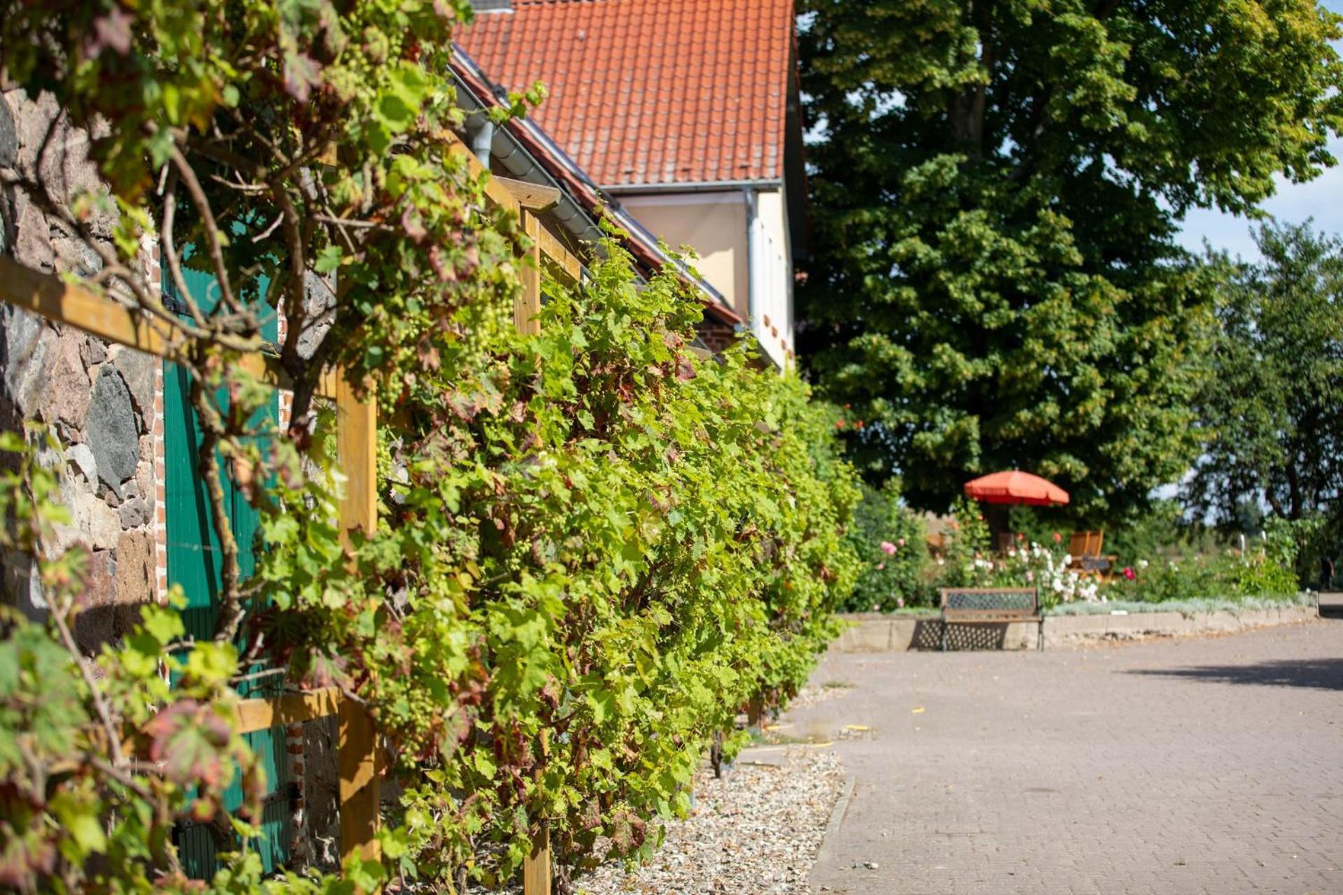 Landurlaub Auf Dem Mellenhof Apartment Funkenhagen Bagian luar foto